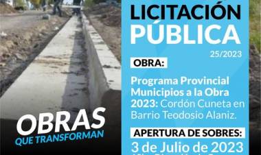 Licitacion Publica: "Cordón Cuneta en Barrio Teodosio Alaniz"