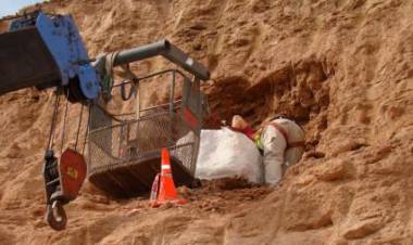 Investigadores del Conicet hallan restos de un gliptodonte que habitó en Olavarría