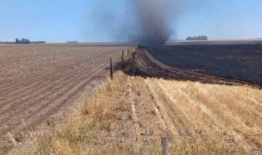 Por una cosechadora, se quemaron 25 hectáreas de un campo en Claromecó