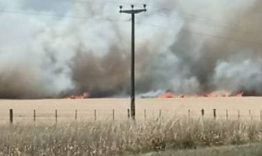 Incendio entre Saldungaray y Sierra de la Ventana, solicitan precaución al circular por la ruta