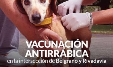 Campaña de vacunación antirrábica en el centro de la ciudad