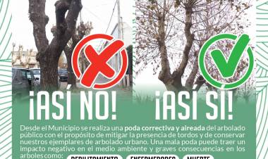 Cuidemos nuestro arbolado público y urbano