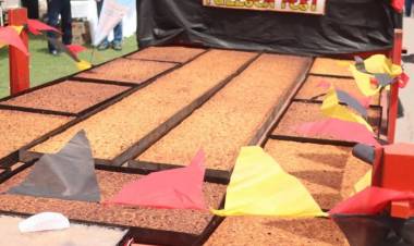 Fullsen Fest en Pueblo San José