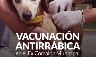 Campaña de vacunación antirrábica en el ex Corralón Municipal