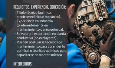 Búsqueda Laboral – Sector Industrial