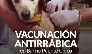 Campaña de Vacunación Antirrábica en Barrio Puente Chico