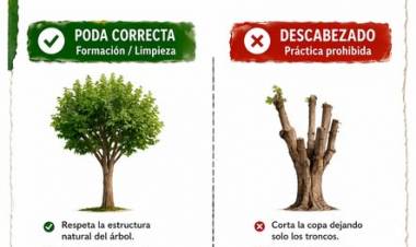 ¡ATENCIÓN VECINOS! INICIÓ LA TEMPORADA DE PODA