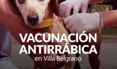 Campaña de Vacunación Antirrábica en Villa Belgrano