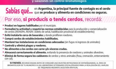 ¿Sabías que consumir carne mal cocida puede ponerte en riesgo de contraer triquinosis?