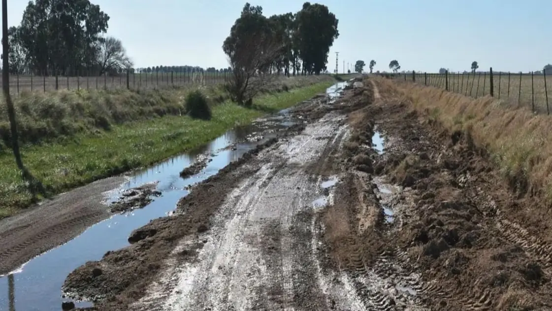 Casi el 80 ? los productores afirman que los caminos se encuentran en mal estado