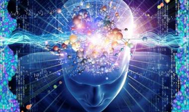 Nueva edición de la Semana del Cerebro