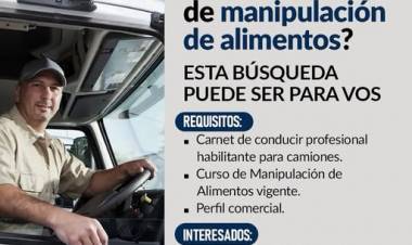 ¿Tenés carnet profesional para camiones y curso de manipulación de alimentos?