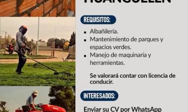 BÚSQUEDA LABORAL EN HUANGUELÉN