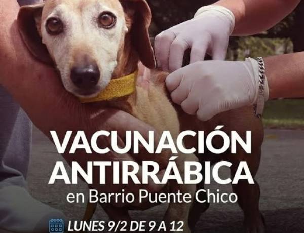 Campaña de Vacunación Antirrábica en Barrio Puente Chico