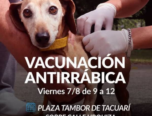 Campaña de Vacunación Antirrábica en la Plaza Tambor de Tacuarí