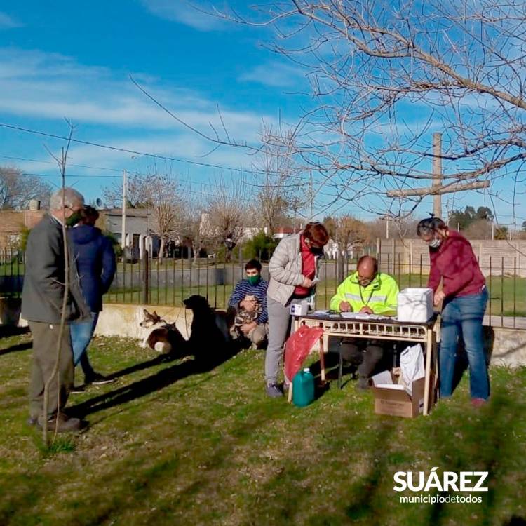 Vacunación antirrábica en Huanguelén