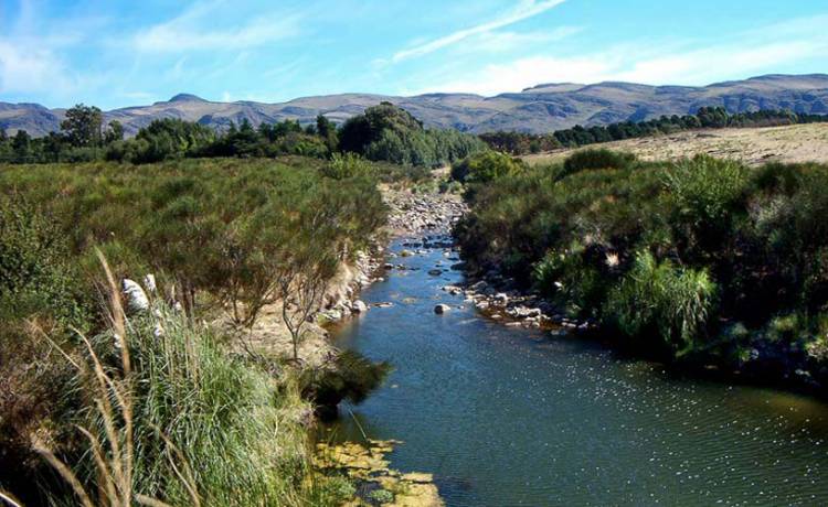 Micaela Costas habló en la mañana de FM Suarense