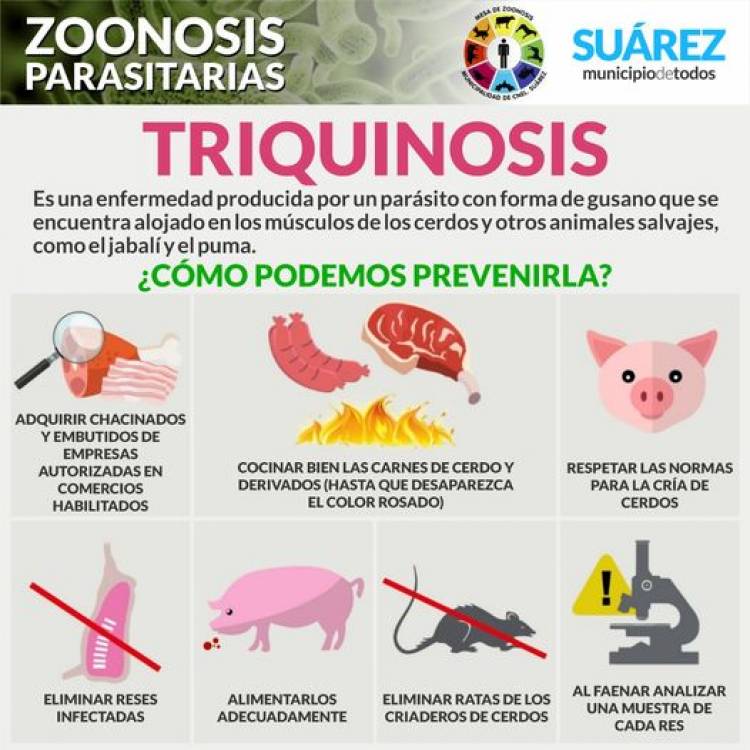 Cómo podemos prevenir la Triquinosis?