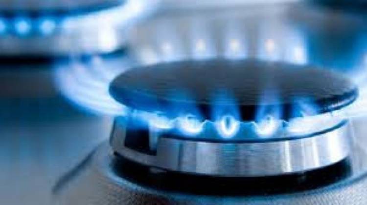 El Gobierno creó el registro para beneficiarios de la reducción del 50? la tarifas del gas