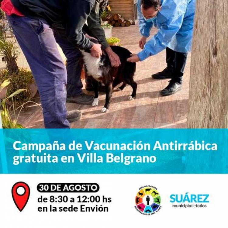 Campaña de Vacunación Antirrábica gratuita en Villa Belgrano⠀