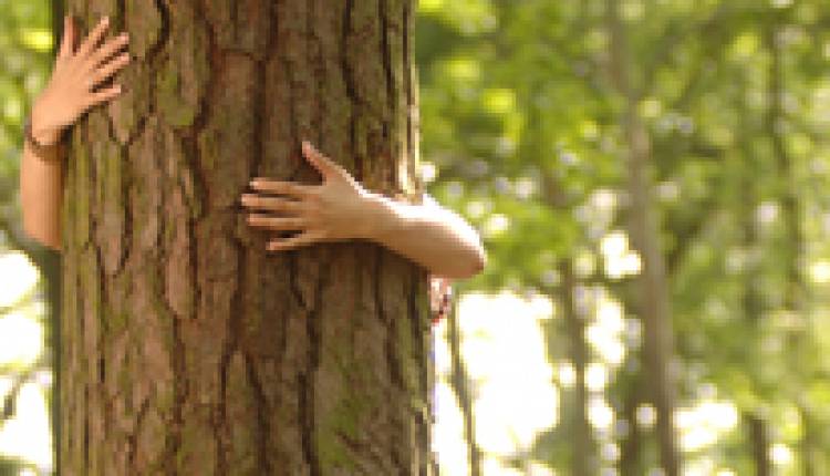 27 DE SETIEMBRE: DIA NACIONAL DE LA CONCIENCIA AMBIENTAL