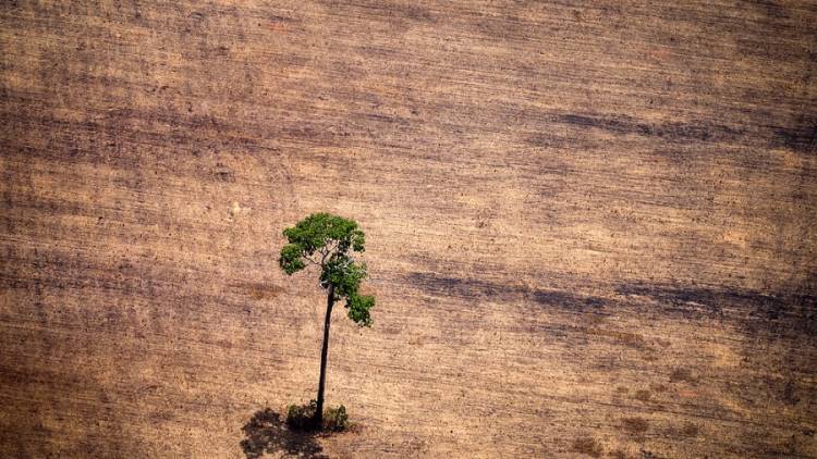 Para Guterres, la cumbre del clima debe actuar para "salvar a la humanidad" y proteger el planeta
