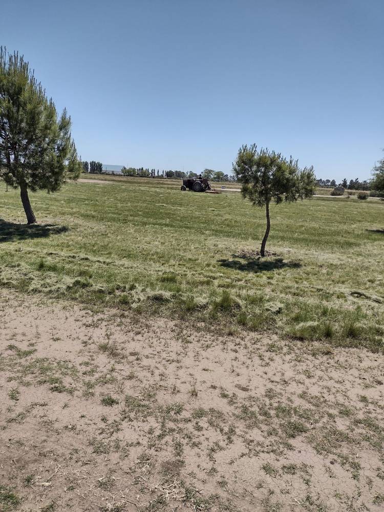 Trabajo a pleno en el Parque Héroes de Malvinas.