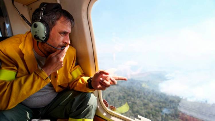 Más de 3000 hectáreas de bosque fueron afectadas por un incendio forestal