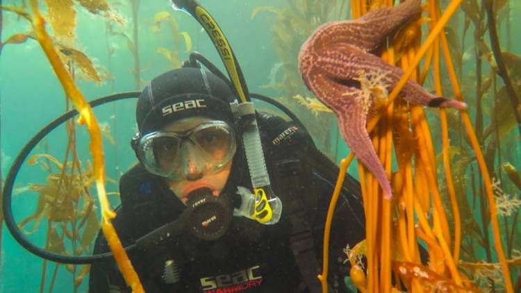 Escalada, buceo y trekking extremo: las actividades poco conocidas para hacer en Ushuaia