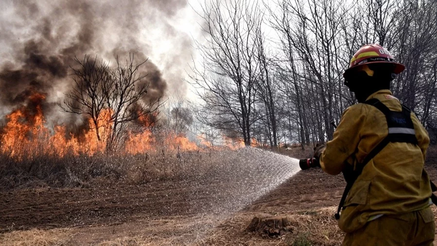 Río Negro, Córdoba, Misiones y Corrientes tienen incendios forestales activos