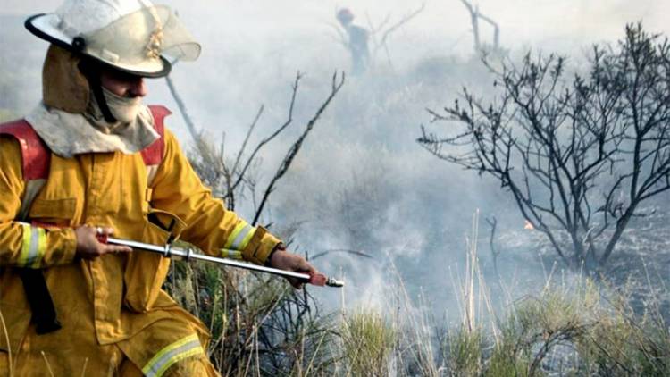La Pampa: se incendiaron este año 37 mil hectáreas, menos de la mitad del año anterior