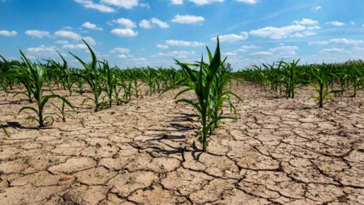 Cuáles fueron las "anomalías" y eventos climáticos extremos en 2021