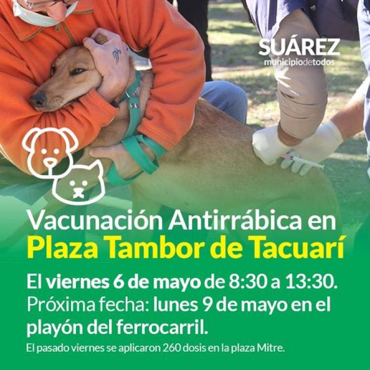 Vacunación antirrábica en Plaza Tambor de Tacuarí