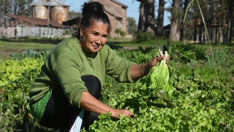 "Las mujeres en el sector agropecuario sólo acceden a un 18? su patrimonio"