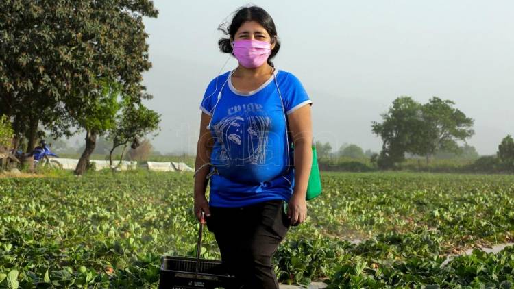 "Las mujeres en el sector agropecuario sólo acceden a un 18? su patrimonio"