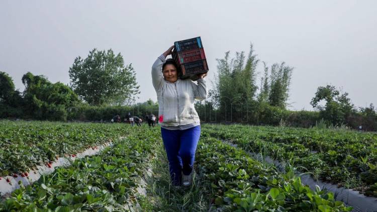 "Las mujeres en el sector agropecuario sólo acceden a un 18? su patrimonio"
