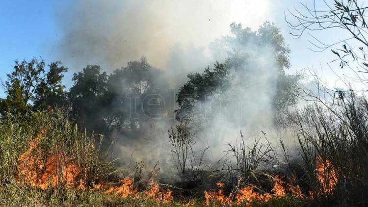 Ambientalistas preparan una movilización masiva por las quemas en el delta del Río Paraná