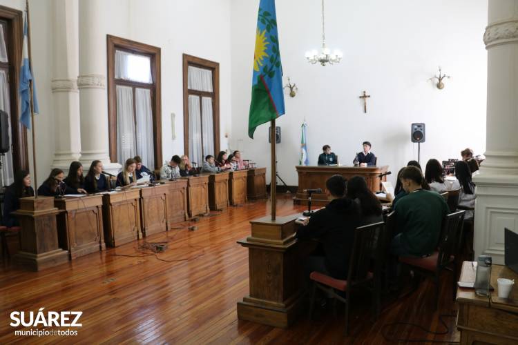 PARLAMENTO JUVENIL DEL MERCOSUR – EDUCACIÓN: