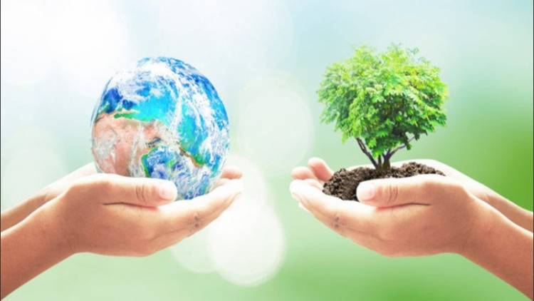 1/11 Día Mundial de la Ecología
