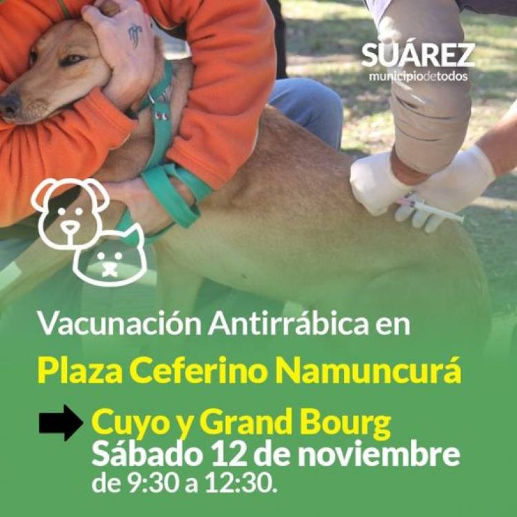 Campaña de vacunación antirrábica en la Plaza Ceferino Namuncurá