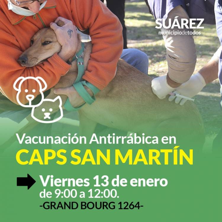 Viernes 13, vacunación antirrábica en CAPS de Barrio San Martín
