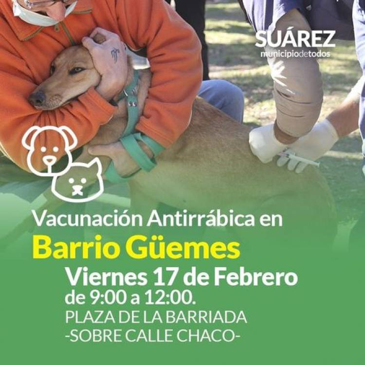 Campaña de vacunación antirrábica en Barrio Güemes