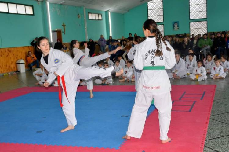 TAEKWONDO: nuevas graduaciones en la escuela cinturon blanco