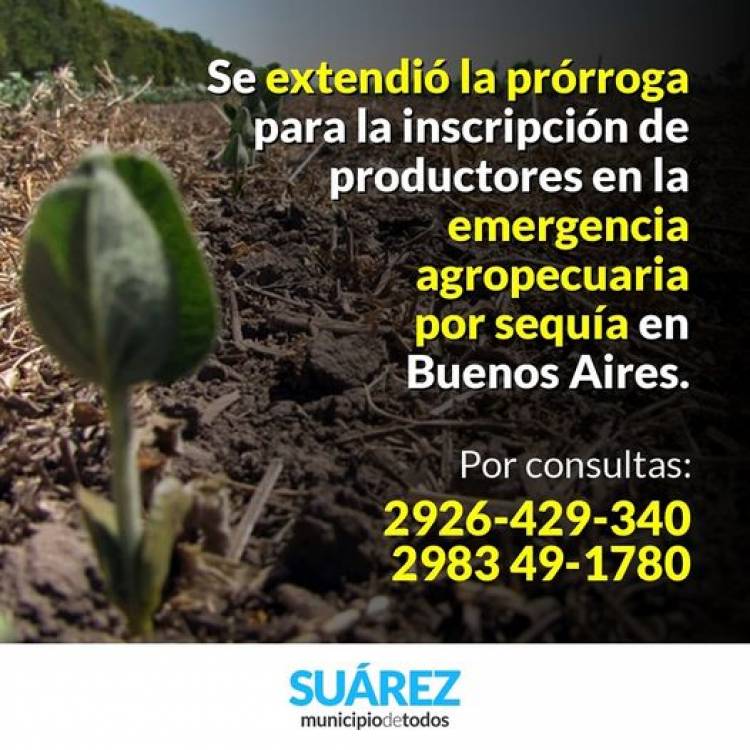 Se extendió la prórroga para la inscripción de productores en la emergencia agropecuaria por sequía en Buenos Aires