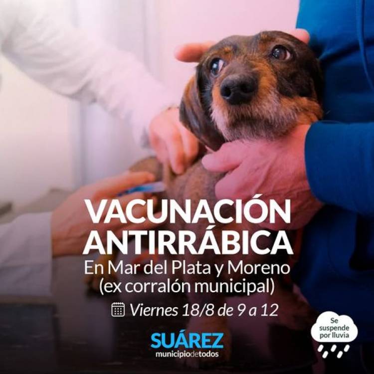 Campaña de vacunación antirrábica