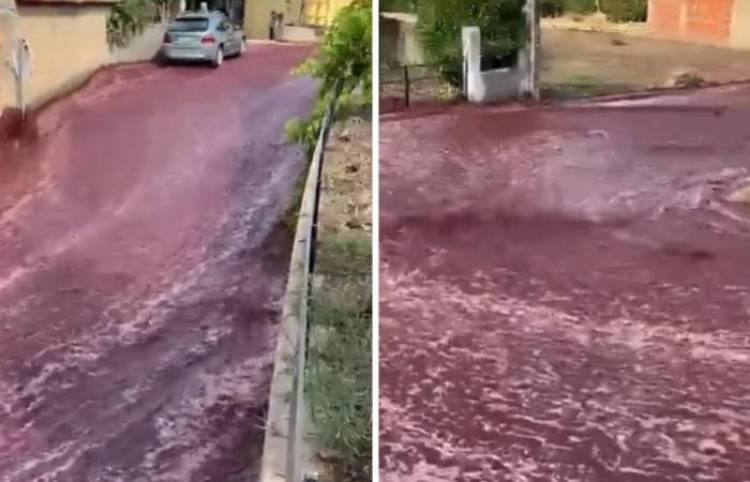 Ríos de vino en Portugal tras explosión de tanque