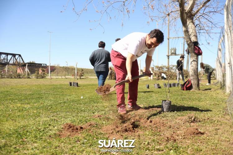 Ambiente-FCE-Interact: seguimos “forestando” comprometidos por un "Suarez Sostenible” 