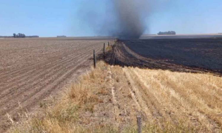 Por una cosechadora, se quemaron 25 hectáreas de un campo en Claromecó