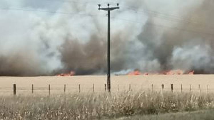 Incendio entre Saldungaray y Sierra de la Ventana, solicitan precaución al circular por la ruta