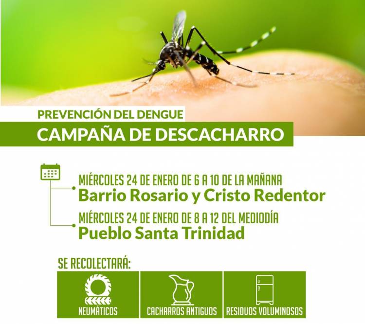 Prevenir el Dengue: continúa por los barrios de la ciudad la campaña de descacharro
